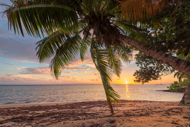 istock Palm trees on tropical beach at sunset 1059625910