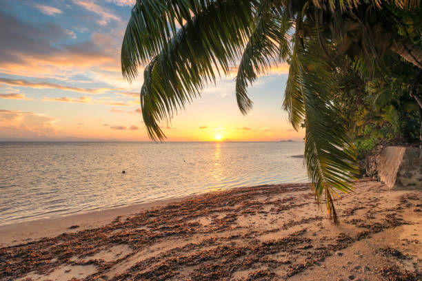 istock Palm trees on tropical beach at sunset 1059625912