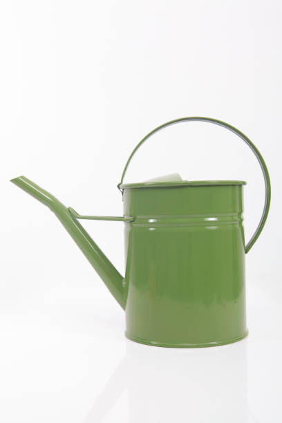 istock Green metal watering can isolated on white background. 1059639774
