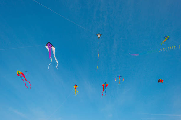 Kites flying in the wind in a blue sky in sunlight at fall
