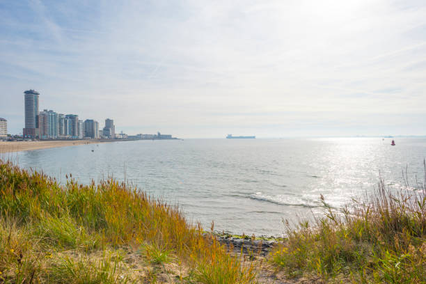 istock Skyline of a boulevard along a sea in sunlight at fall 1059643240