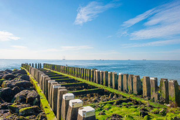 istock Groyne in sea protecting a coast below a blue sky in sunlight at fall 1059643276