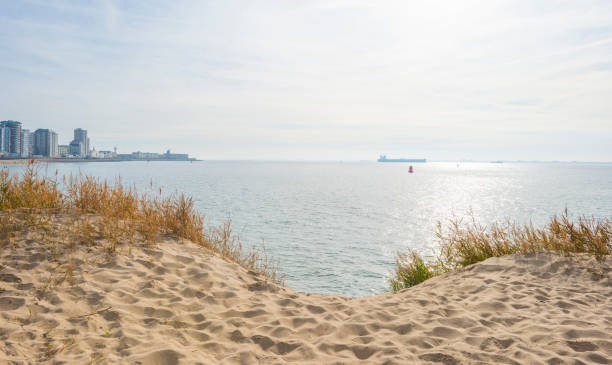 istock Skyline of a boulevard along a sea in sunlight at fall 1059643290