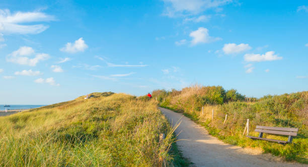 istock Sand dunes along the north sea coast below a blue sky in sunlight 1059644244