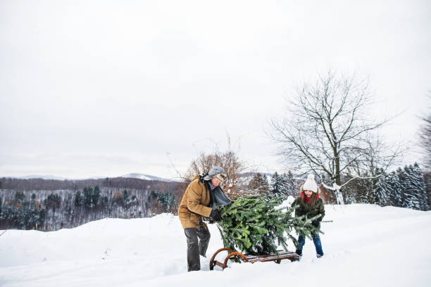 istock Grandfather and small girl getting a Christmas tree in forest. 1059649196