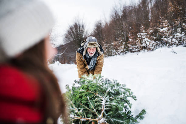 istock Grandfather and small girl getting a Christmas tree in forest. 1059649312