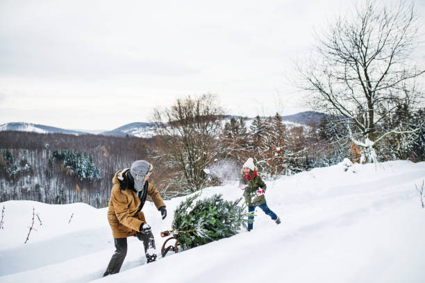 istock Grandfather and small girl getting a Christmas tree in forest. 1059650482