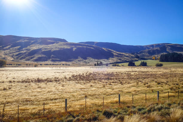 istock Mountain fields landscape in New Zealand 1059655032