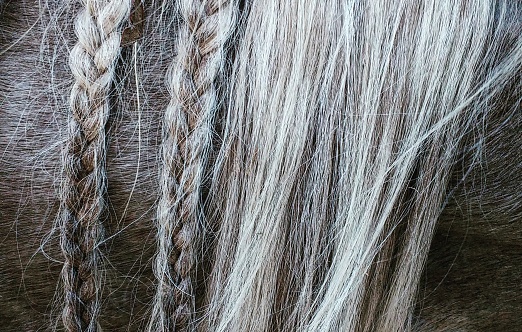 Close up of braided horse hair