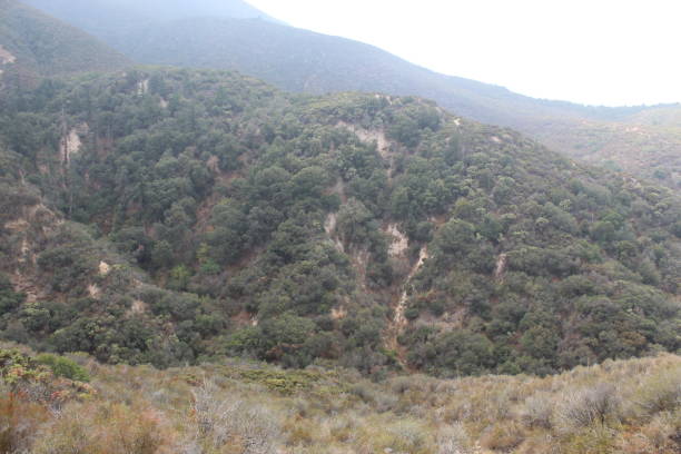 istock MISTY SLOPES BIG BIG BEAR LAKE SBM 1059661242