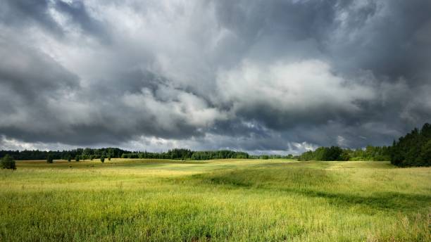 istock Green field against dark stormy clouds 1059663796