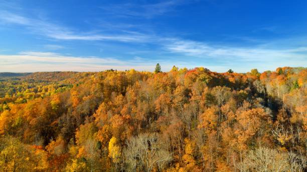 istock Colorful forest hills in fall. Sigulda, Latvia. 1059663962