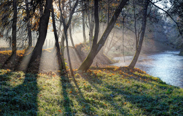 istock Autumn morning near Vilnele river 1059666486