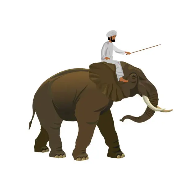 Vector illustration of Man riding elephant