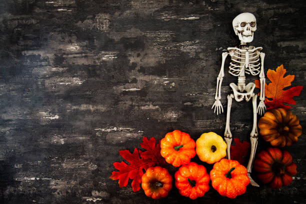 A Halloween skeleton standing with a pumpkin in the dark.
