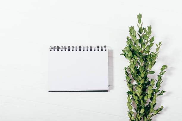 istock Mock-up blank notepad and green branch, top view 1059674576