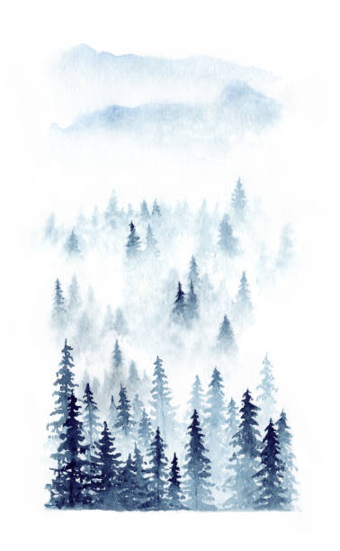 ilustraciones, imágenes clip art, dibujos animados e iconos de stock de paisaje de invierno de acuarela de un bosque de niebla. piceas aisladas sobre fondo blanco - forest landscape pine tree snow