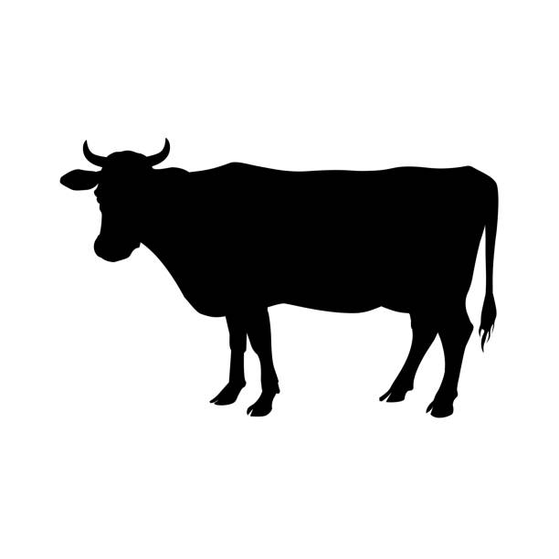 sylwetka stojącej krowy - nowt stock illustrations