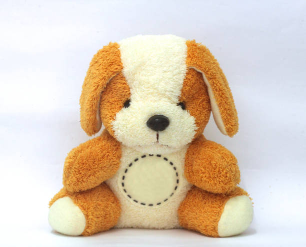 istock Teddy bear is brown and white, cute and straight with a circle for the message. 1059679988