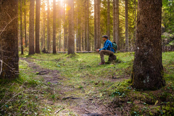 istock Young Adult Man Enjoying the Tranquility in Forest 1059680916