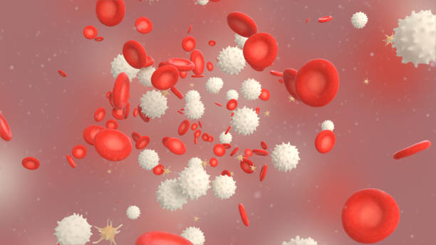 3D illustration of a blood with red cell white cell and platelet stock photo