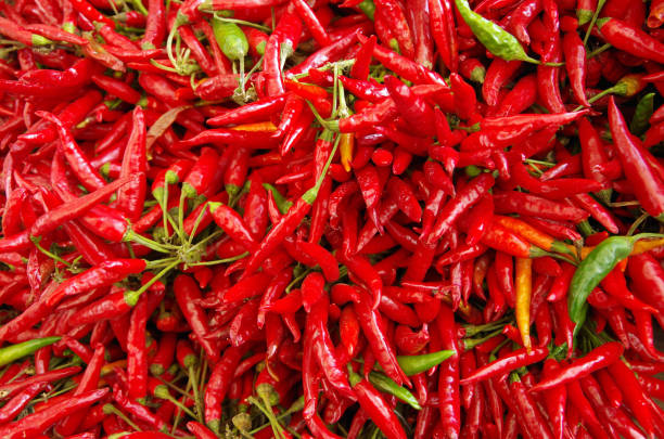 istock Hot red chili peppers 1059683224