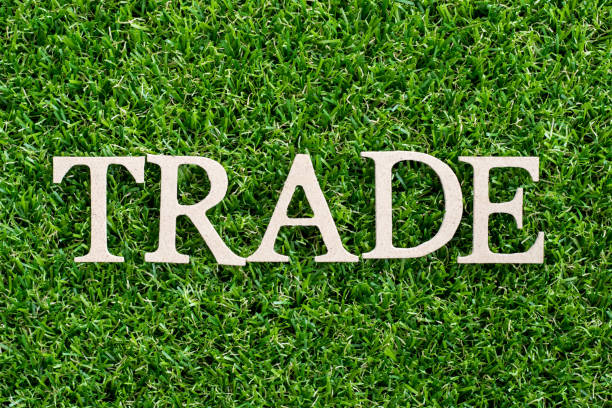 istock Wood letter in word trade on artificial green grass background 1059685030