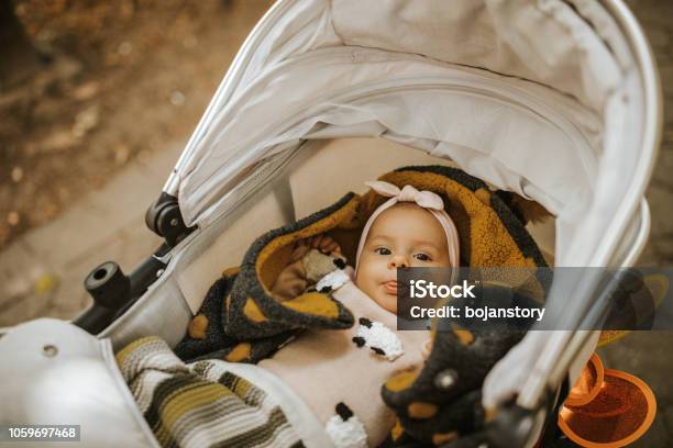 Kleines Mädchen Das In Einem Kinderwagen Liegt Stockfoto und mehr Bilder von Baby - Baby, Sportkinderwagen, Herbst