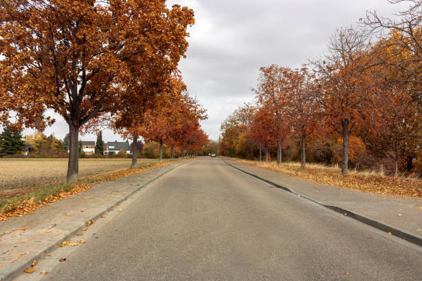 istock Country road in Frankenthal (Palatinate) 1059698934