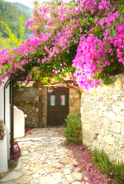 istock Bougainvillea Stone Street 1059703996