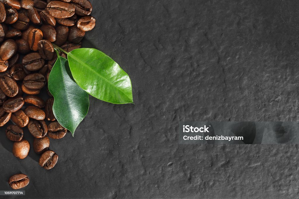 Coffee beans concept Coffee beans with stone ground Bean Stock Photo