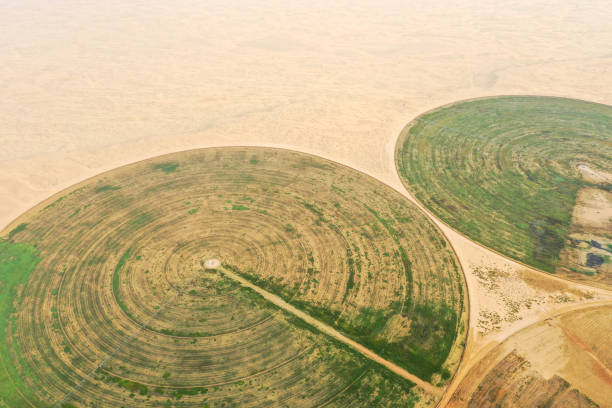 istock Circular irrigation system in the desert. 1059710802