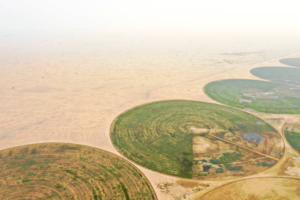 Circular irrigation system in the desert.