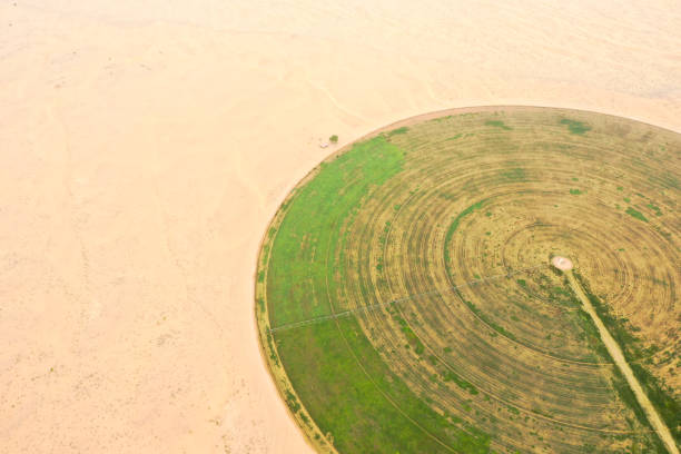 istock Circular irrigation system in the desert. 1059710810
