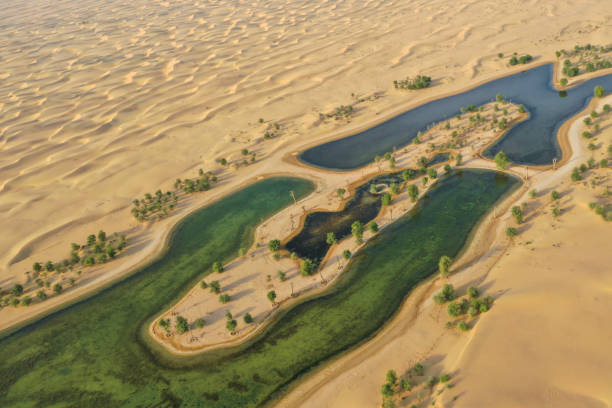 istock Beautiful oasis in the desert. 1059710820