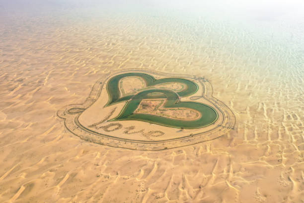 Beautiful oasis in the desert.