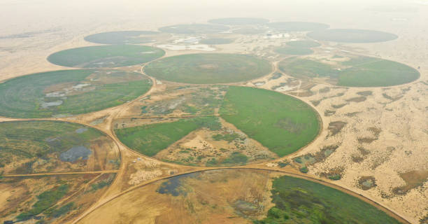 istock Circular irrigation system in the desert. 1059710824