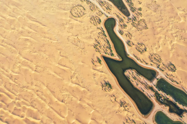 istock Beautiful oasis in the desert. 1059710830