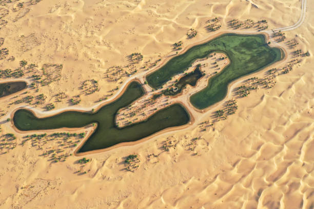 istock Beautiful oasis in the desert. 1059710832