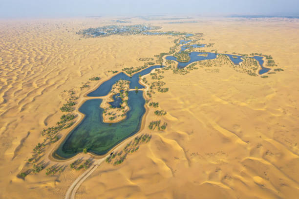 istock Beautiful oasis in the desert. 1059710838