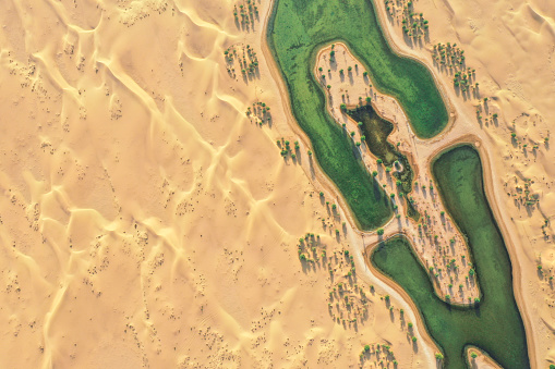 Hermoso oasis en el desierto. photo