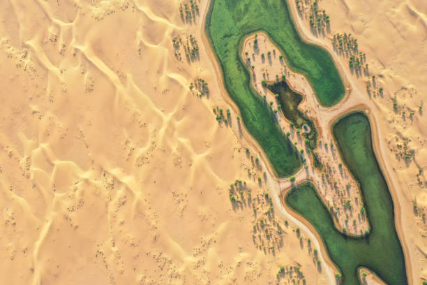 Beautiful oasis in the desert.