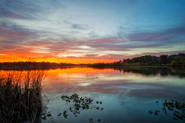 istock Sunset over Water with Muskrat 1059713646
