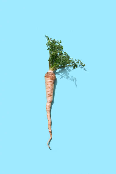 istock Branches of green parsley with root presented on a blue background with space for text. Organic vegetable. Flat lay 1059718806