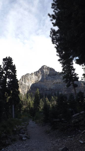 istock Cathedral Rock Trail, Mt Charleston 1059718810