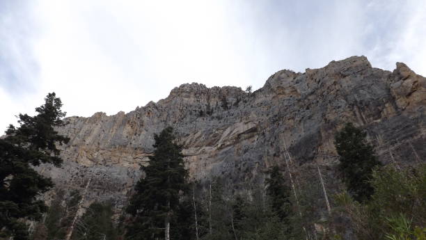 istock Cathedral Rock Trail, Mt Charleston 1059718894