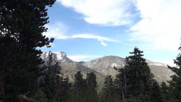 istock Cathedral Rock Trail, Mt Charleston 1059718930