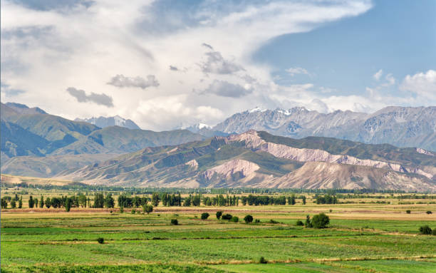 View from Burana Tower close to Bishkek, Kyrgyzstan, taken in August 2018 View from Burana Tower close to Bishkek, Kyrgyzstan, taken in August 2018 bishkek stock pictures, royalty-free photos & images