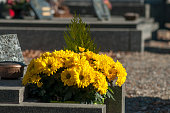 gelbe-chrysanthemen-auf-grab-im-friedhof.jpg?b=1&s=170x170&k=20&c=1sa9vvVRjKcNGV9jbA0_lNX80lYlZNtf9TAsGtfZNCo=