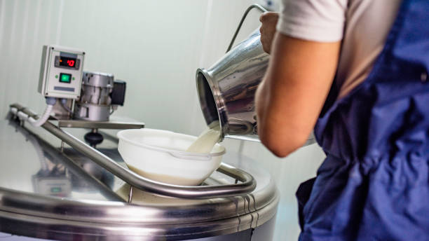 fromager, verser le lait dans un élément chauffant en acier inoxydable - cheese making photos et images de collection